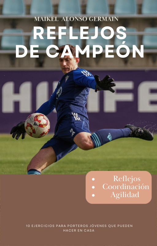 Ebook